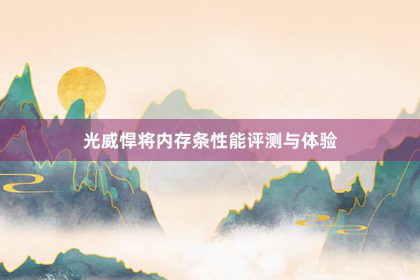 光威悍将内存条性能评测与体验